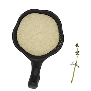 2024 good quality manufacturer Edible granules Hydrolyzed food grade gelatin